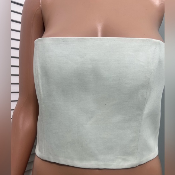 NWT SCANLAN THEODORE Light Green Bustier Crop Cropped Tube Top 10 MSRP $300 - Picture 4 of 9